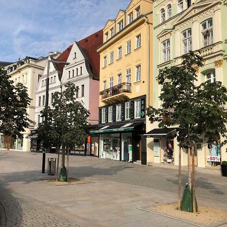 Apartman Orchidej U Vridla Karlsbad Eksteriør billede