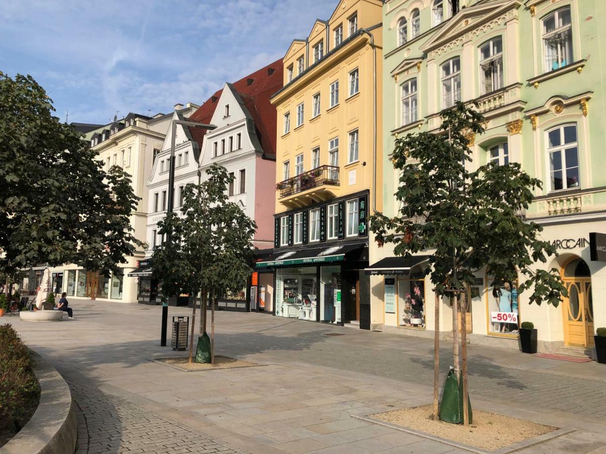 Apartman Orchidej U Vridla Karlsbad Eksteriør billede